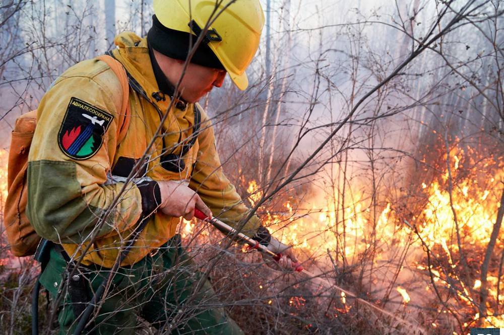 В России началась подготовка к пожароопасному сезону