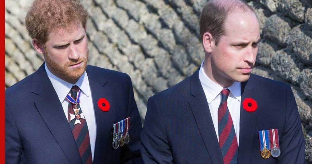 Уильям и Гарри станут плечом к плечу за гробом принца Филиппа