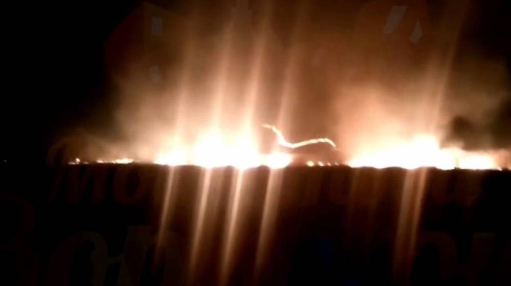 Мощный пожар в поле в Воронежской области сняли на видео
