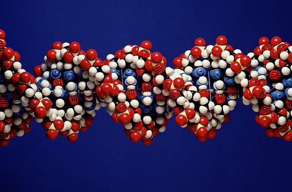 Американские ученые пришли к выводу, что новые генные вакцины могут изменять ДНК человека