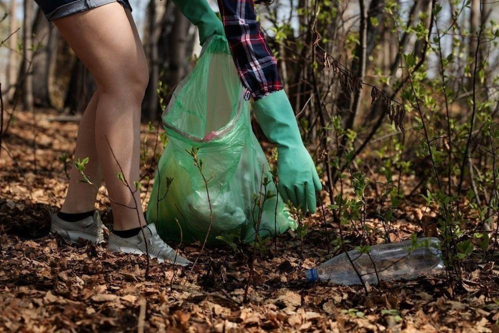Опубликован перечень территорий для уборки активистами в рамках конкурса Чистый Псков