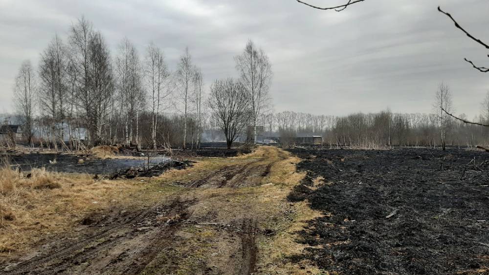 В Тверской области из-за пала травы сгорели два десятка дачных домов