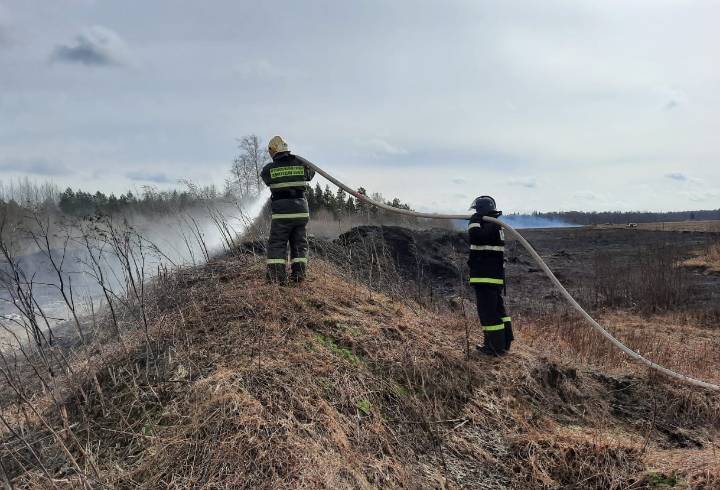 Более 50 выездов с конца марта: жителей Ленобласти предупредили о начале пожароопасного сезона