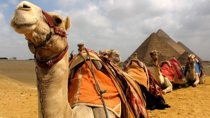 В АТОР рассчитывают на открытие Египта после ограничения полетов в Турцию
