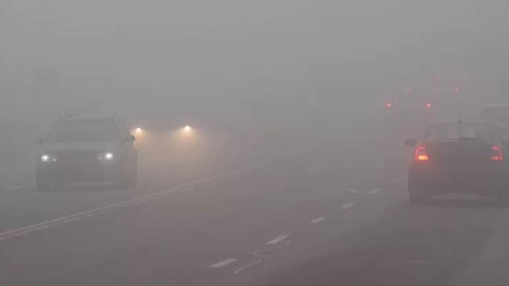 В Киеве туман: водителей просят быть внимательными