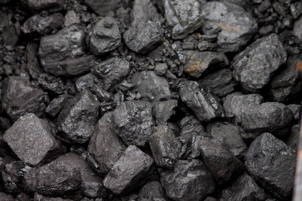Роснедра выставит на аукцион угольный разрез «Богатырь» в Новосибирской области за 1,5 млрд рублей