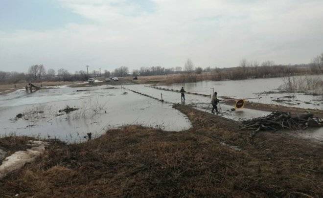В деревне Тимофеевке из-за таяния снега подтопило низководный мост и две придомовые территории