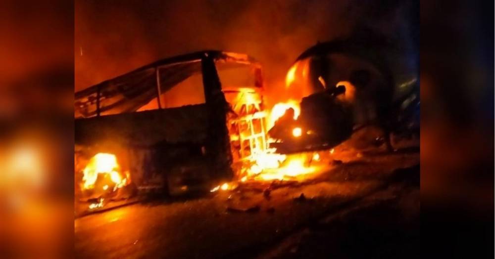 У Єгипті автобус врізався у вантажівку і загорівся — 20 загиблих