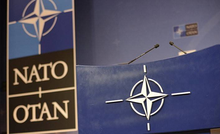 Telegraph: принять Украину в НАТО было бы ужасной ошибкой