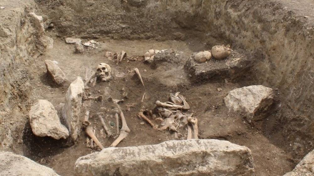 Найдены новые останки древнейших прямоходящих людей
