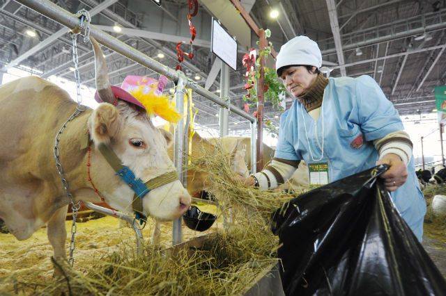 В России готовится законопроект, который позволит увеличить количество животноводческих хозяйств
