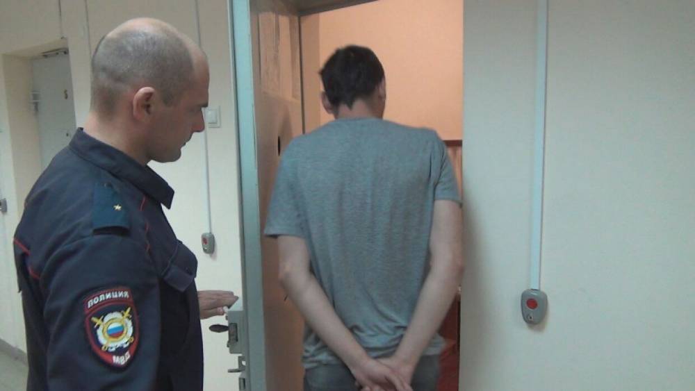 Полицейские задержали подозреваемого в организации притона под Петербургом