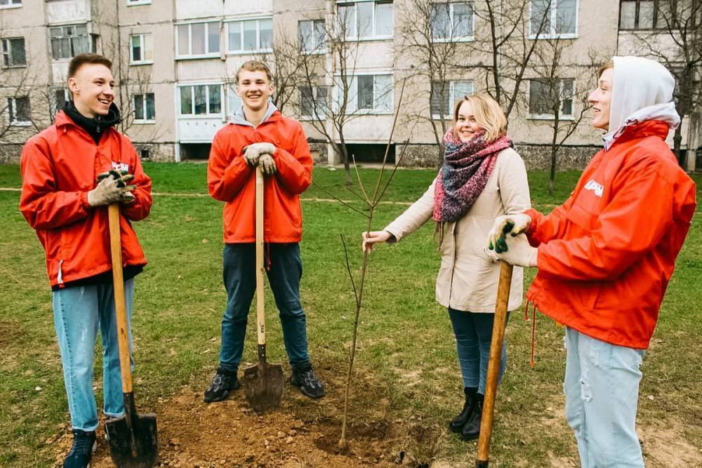 В Гродно в рамках акции #ЗаДело высажено 200 деревьев