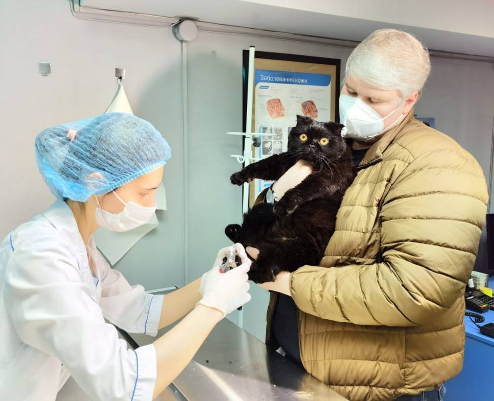 Третий ветеринарный прививочный кабинет открылся в Нижнем Новгороде