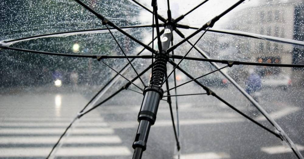 Дожди и +15 тепла: погода в Украине 16 апреля