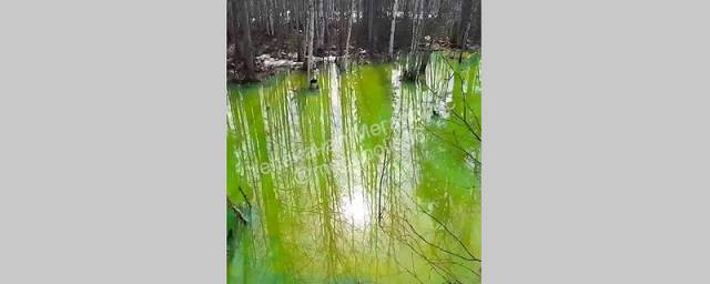Озеро с кислотно-зеленой водой нашли в промзоне в Нижневартовске