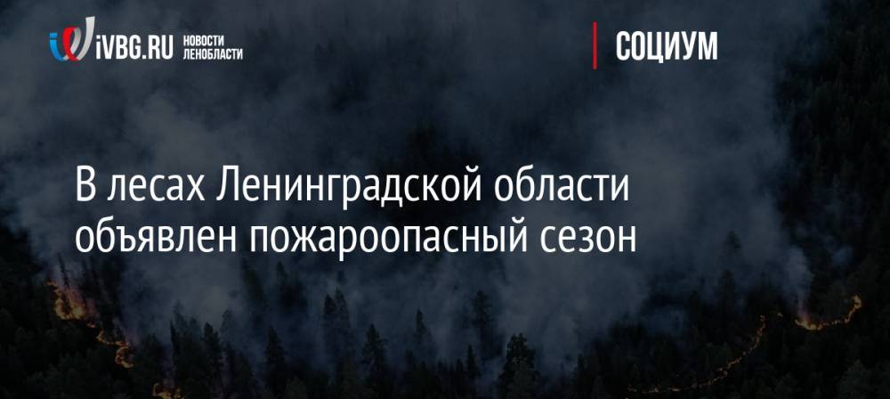 В лесах Ленинградской области объявлен пожароопасный сезон