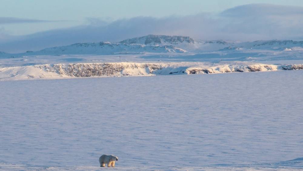 Правительство России расширит "Дальневосточный гектар" на Арктику