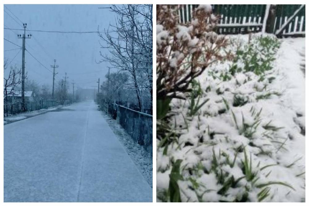 Одесскую область засыпало снегом посреди весны: кадры аномалии разлетелись по сети