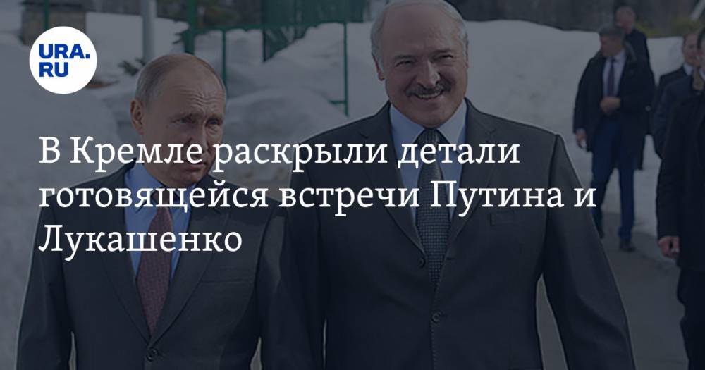 В Кремле раскрыли детали готовящейся встречи Путина и Лукашенко