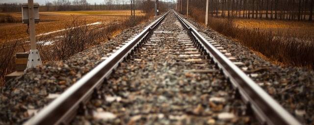 В Люберцах поезд насмерть сбил двух школьниц