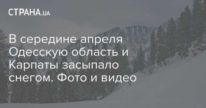 В середине апреля Одесскую область и Карпаты засыпало снегом. Фото и видео
