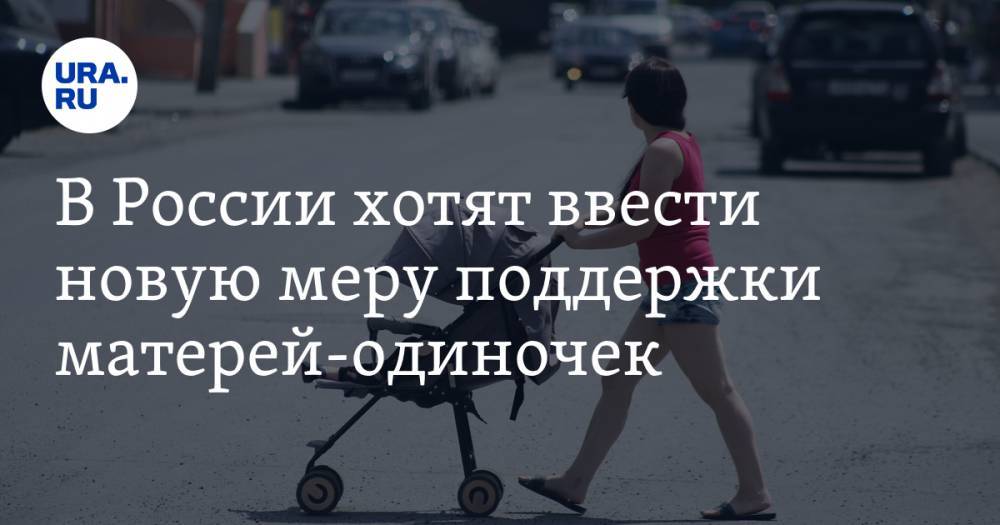 В России хотят ввести новую меру поддержки матерей-одиночек