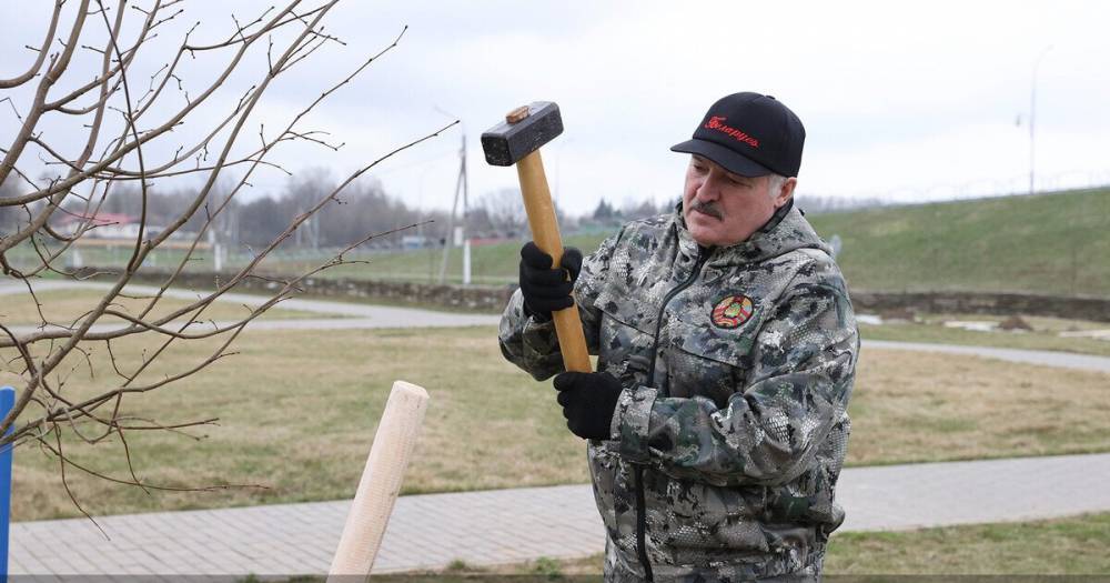 "Надо нормально питаться": Лукашенко признался, что не хочет вакцинироваться