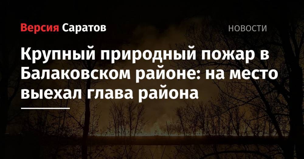 Крупный природный пожар в Балаковском районе: на место выехал глава района
