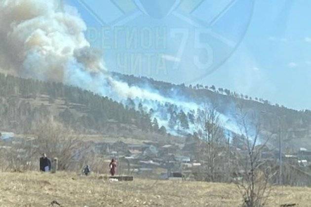 Пожарные начали тушить горящий лес около Песчанки под Читой