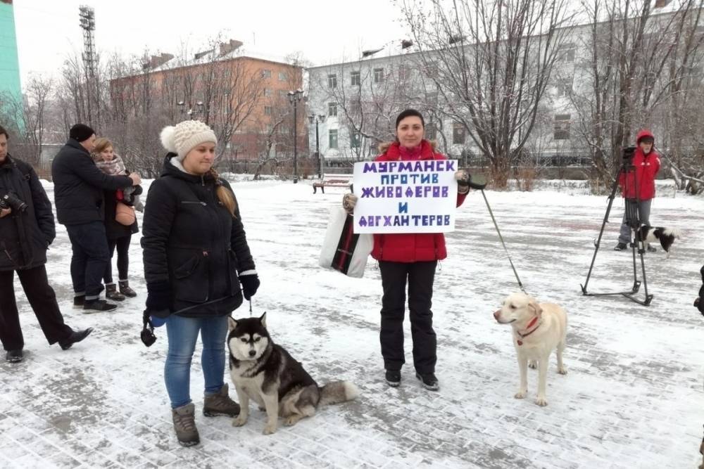 В Мурманске состоялся пикет против живодерства