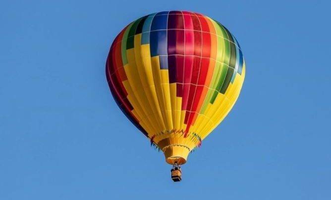 Огромный воздушный шар запутался в кронах деревьев в Приморье