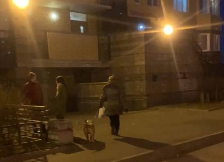 Бойцовская собака в Петербурге загрызла йоркширского терьера в магазине