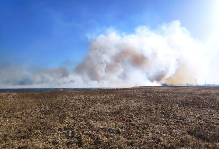 В Гатчинском районе пожарные и местные жители тушат полыхающие поля