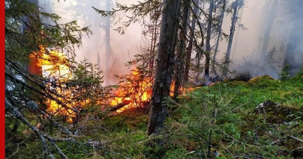 Названы регионы России с высоким риском природных пожаров