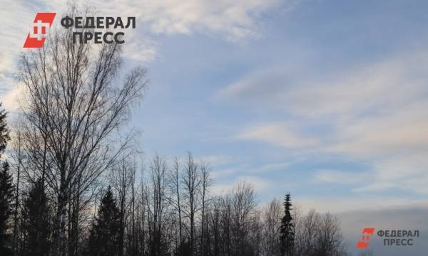Жителей Красноярска предупредили о холодной погоде в предстоящую неделю