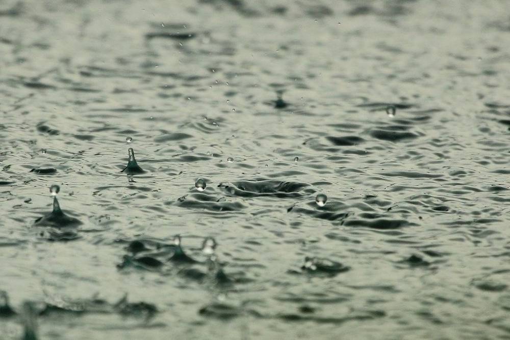 В Марий Эл на неделе ожидается переменчивая погода и дожди