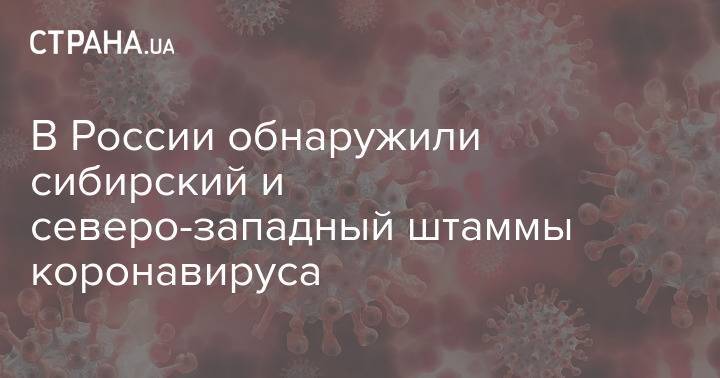 В России обнаружили сибирский и северо-западный штаммы коронавируса