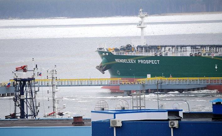 Yle (Финляндия): на берегу Финского залива построят большой торговый порт — интересы жителей не учитываются