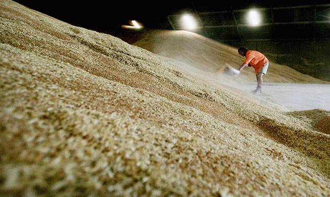 Украина экспортировала 37 млн тонн зерна - это существенно меньше, чем в прошлом году