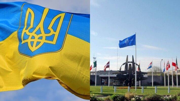 В бундестаге сообщили об отсутствии перспектив членства Украины в НАТО