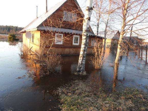 Почти сотню населенных пунктов в Ленобласти может затопить