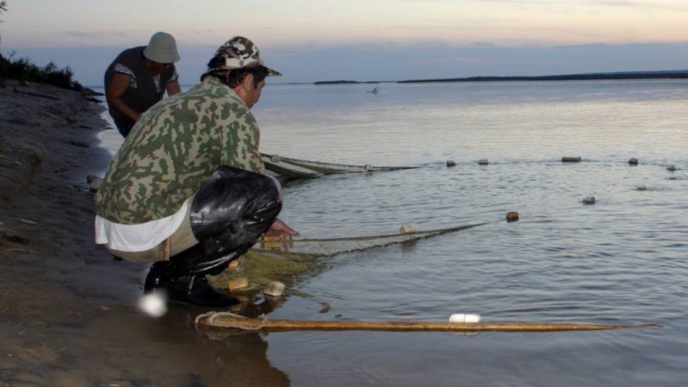 Власти Колымы озадачены вопросом доступа к биоресурсам для коренных народов