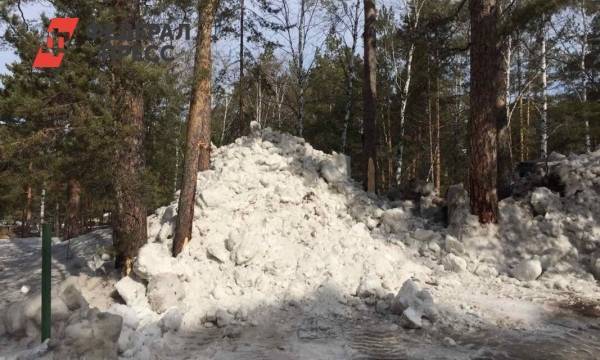 В Челябинске два месяца ищут причастных к вывозу грязного снега с дорог в бор