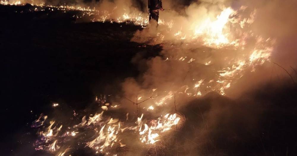 В Ровенской области женщина вместе с травой на огороде чуть не сожгла сельские дома