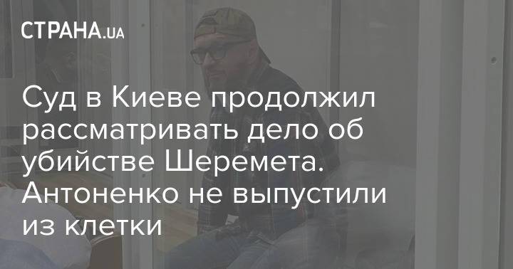 Суд в Киеве продолжил рассматривать дело об убийстве Шеремета. Антоненко не выпустили из клетки