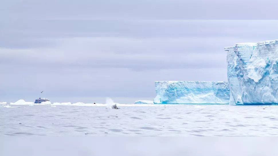 Самый большой антарктический айсберг растаял