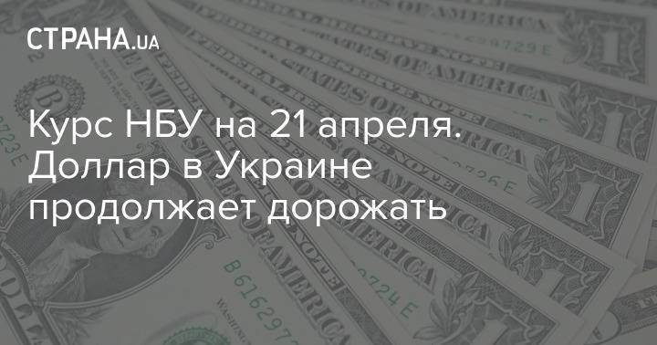 Курс НБУ на 21 апреля. Доллар в Украине продолжает дорожать