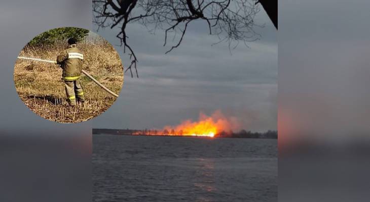 Снова горят леса: в Ярославле поджоги не заканчиваются