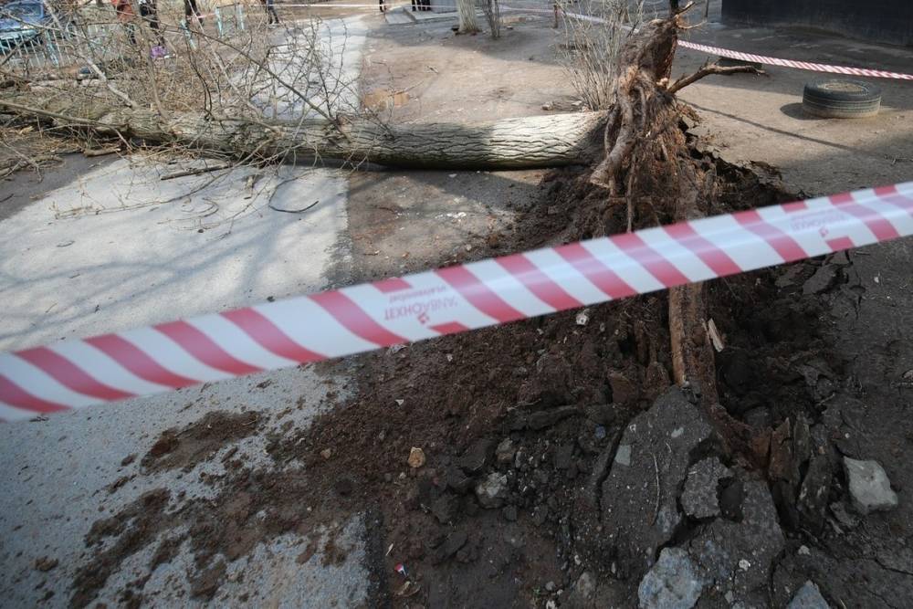 Волгоградское МЧС предупредило о грозе и штормовом ветре 21 апреля